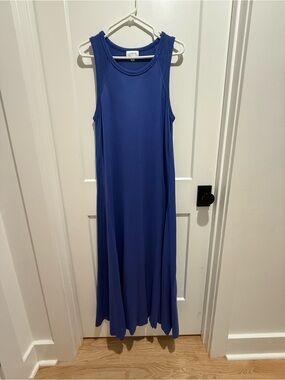 Everve Blue Sleeveless Maxi Dress